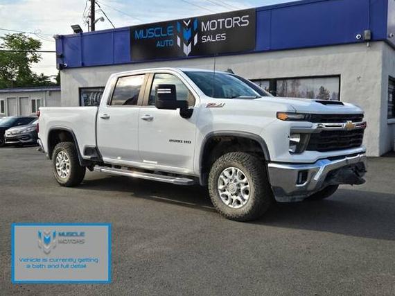 CHEVROLET SILVERADO HD 2024 1GC1YNEY7RF159388 image